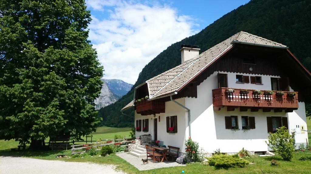 Farm Stay Juvanija Солчава Екстер'єр фото