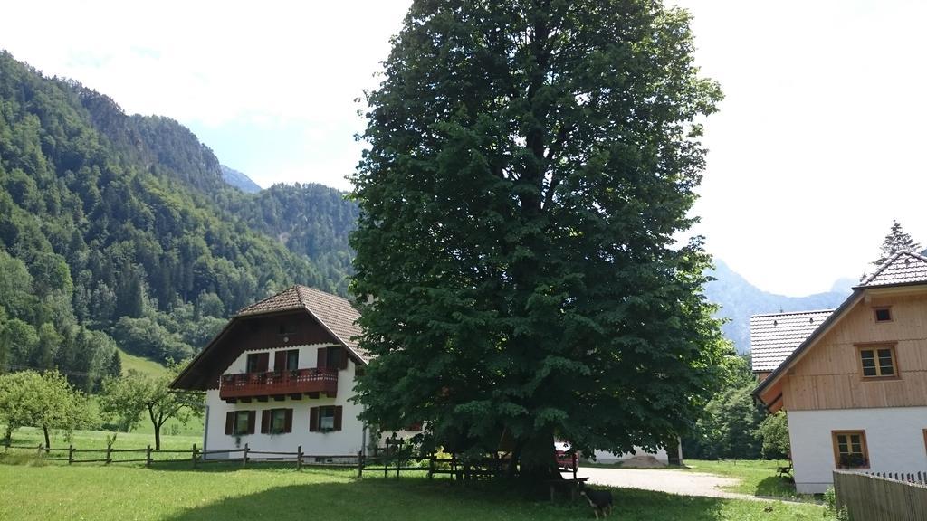Farm Stay Juvanija Солчава Екстер'єр фото