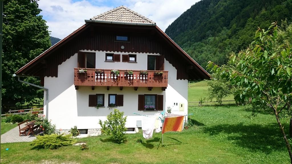 Farm Stay Juvanija Солчава Екстер'єр фото